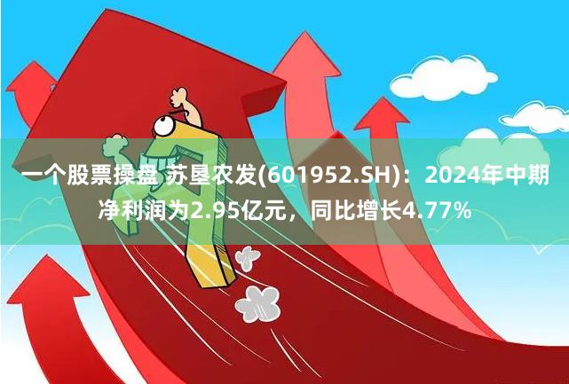 一个股票操盘 苏垦农发(601952.SH)：2024年中期净利润为2.95亿元，同比增长4.77%