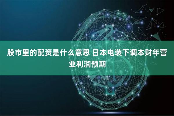 股市里的配资是什么意思 日本电装下调本财年营业利润预期