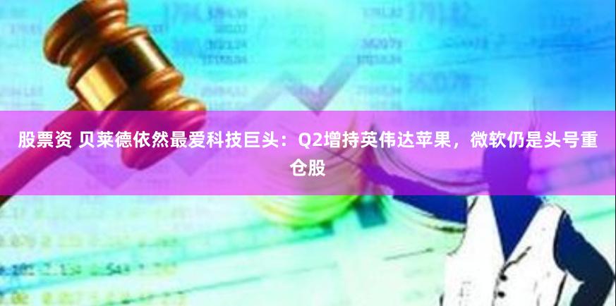 股票资 贝莱德依然最爱科技巨头：Q2增持英伟达苹果，微软仍是头号重仓股