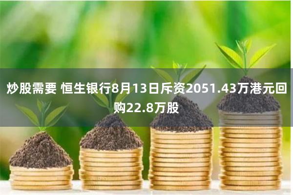 炒股需要 恒生银行8月13日斥资2051.43万港元回购22.8万股