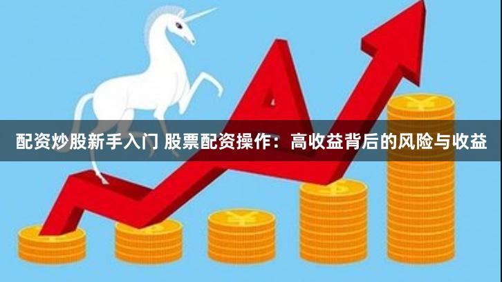 配资炒股新手入门 股票配资操作：高收益背后的风险与收益